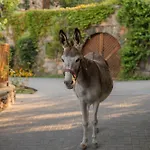 Hotel Kinsterna 5*