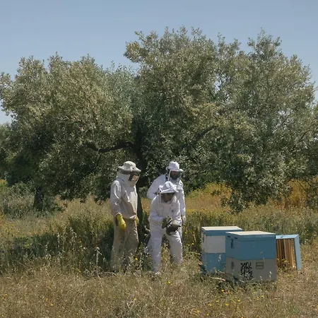 Kinsterna Монемвазия