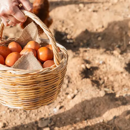 Kinsterna 5* Монемвазия