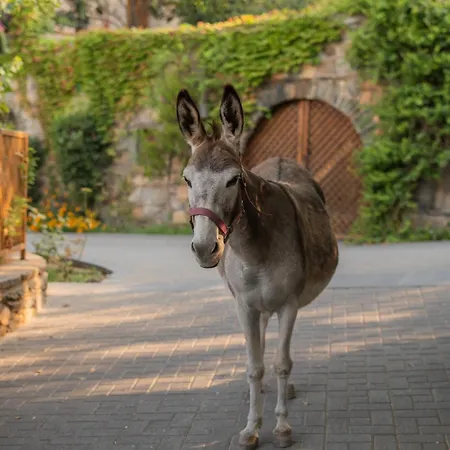 Отель Kinsterna 5*