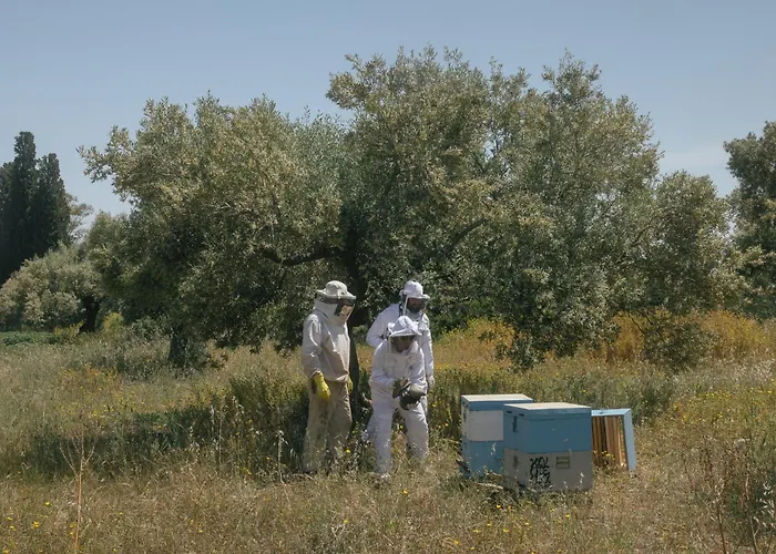 Kinsterna モネンバシア