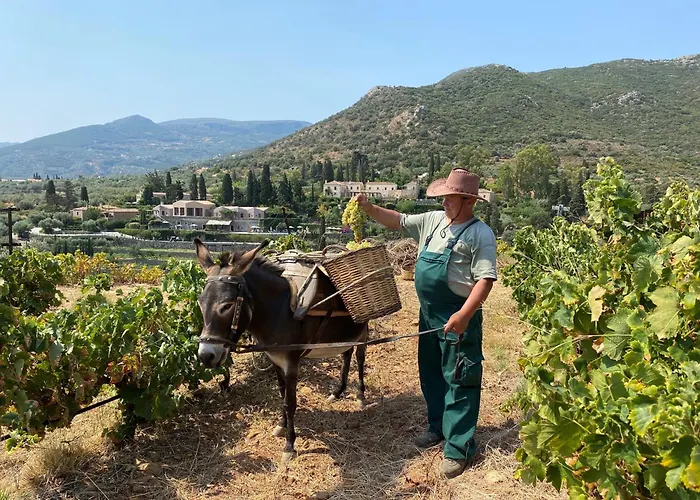 Kinsterna モネンバシア