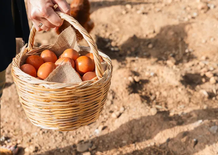 Kinsterna 5* Monemvasía